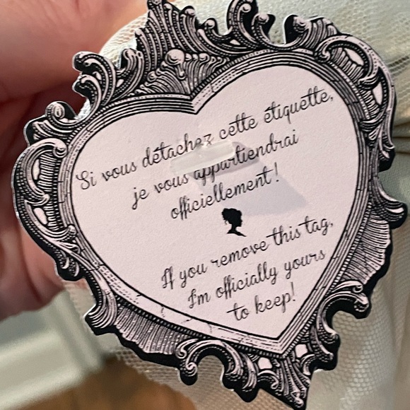 Long sheer ivory gown with lace bodice. - Picture 6 of 10